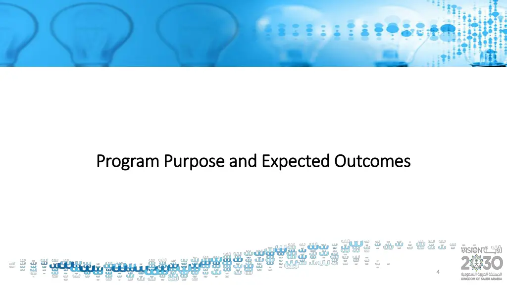 program purpose and expected outcomes program