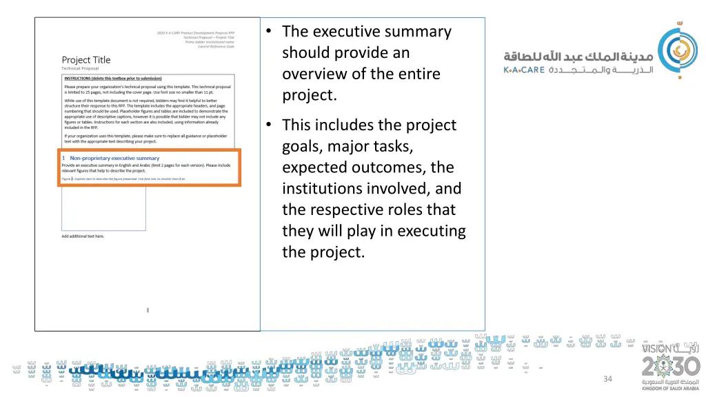 the executive summary should provide an overview