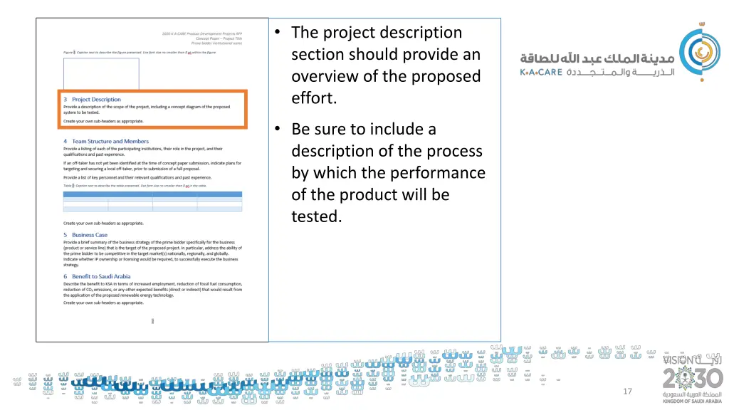 the project description section should provide