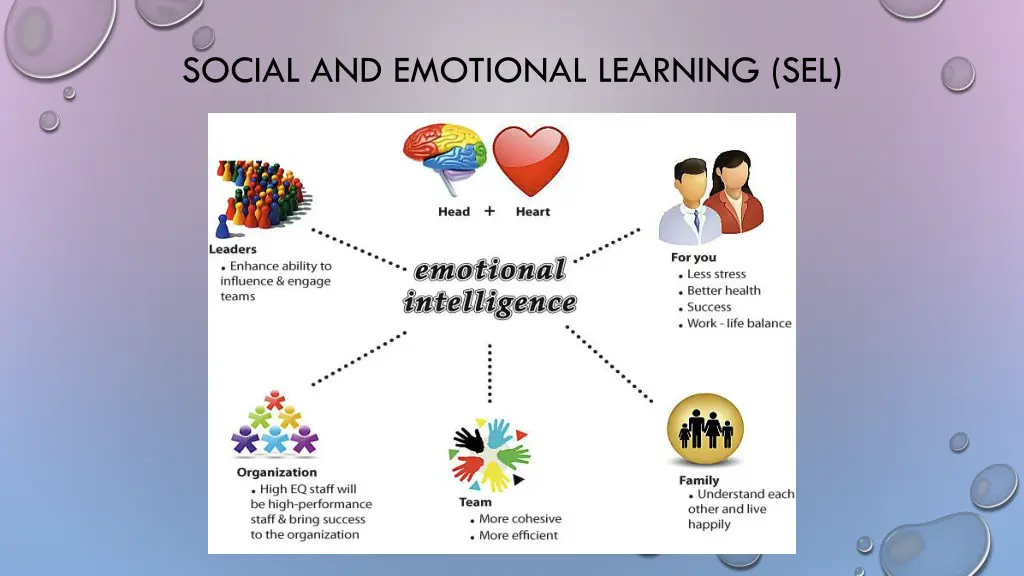 social and emotional learning sel