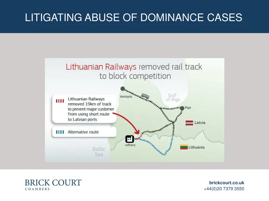 litigating abuse of dominance cases 2