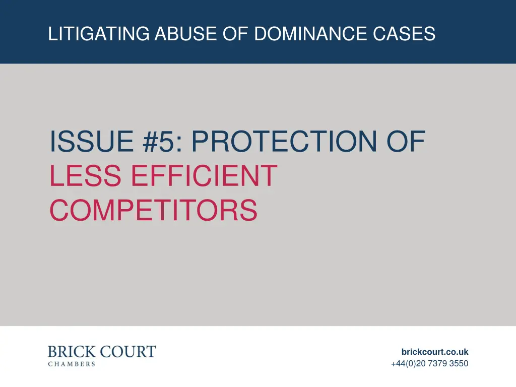 litigating abuse of dominance cases 3