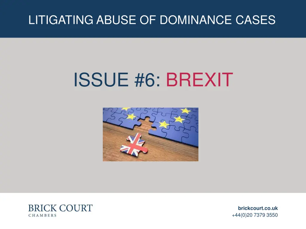 litigating abuse of dominance cases 6