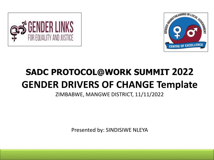 sadc protocol@work summit 2022 gender drivers