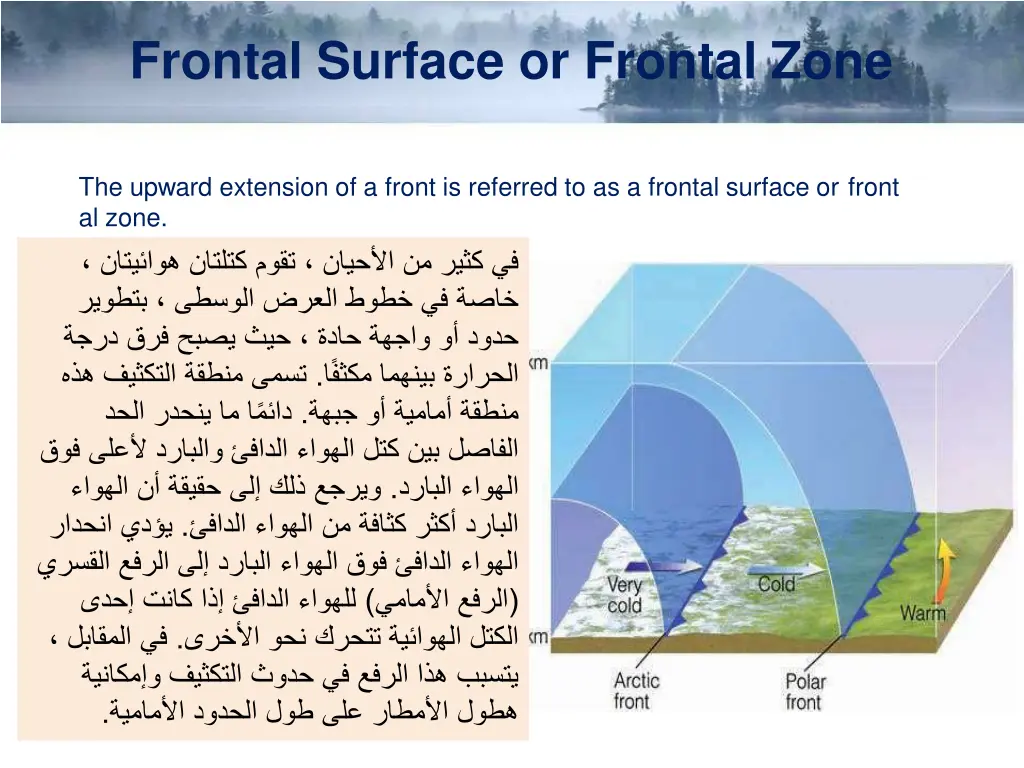 frontal surface or frontal zone 1