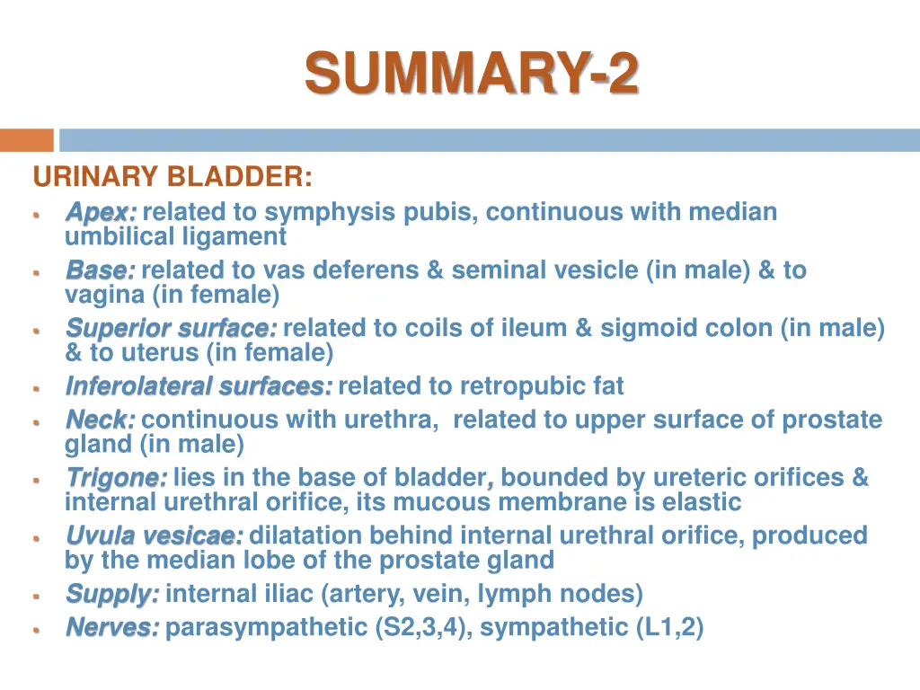 summary 2