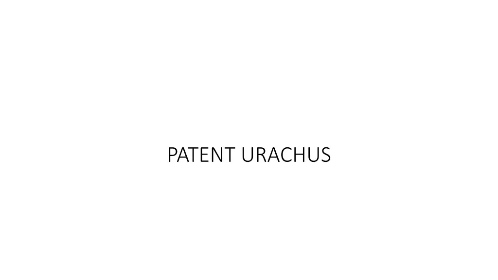 patent urachus