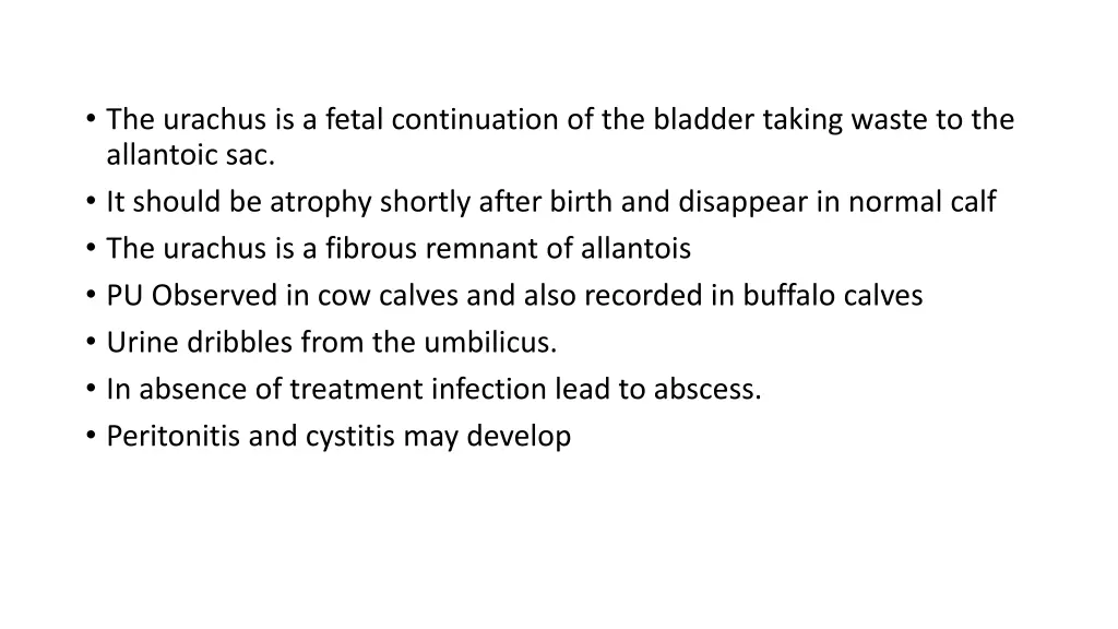 the urachus is a fetal continuation