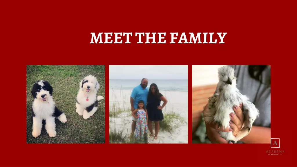 meet the family