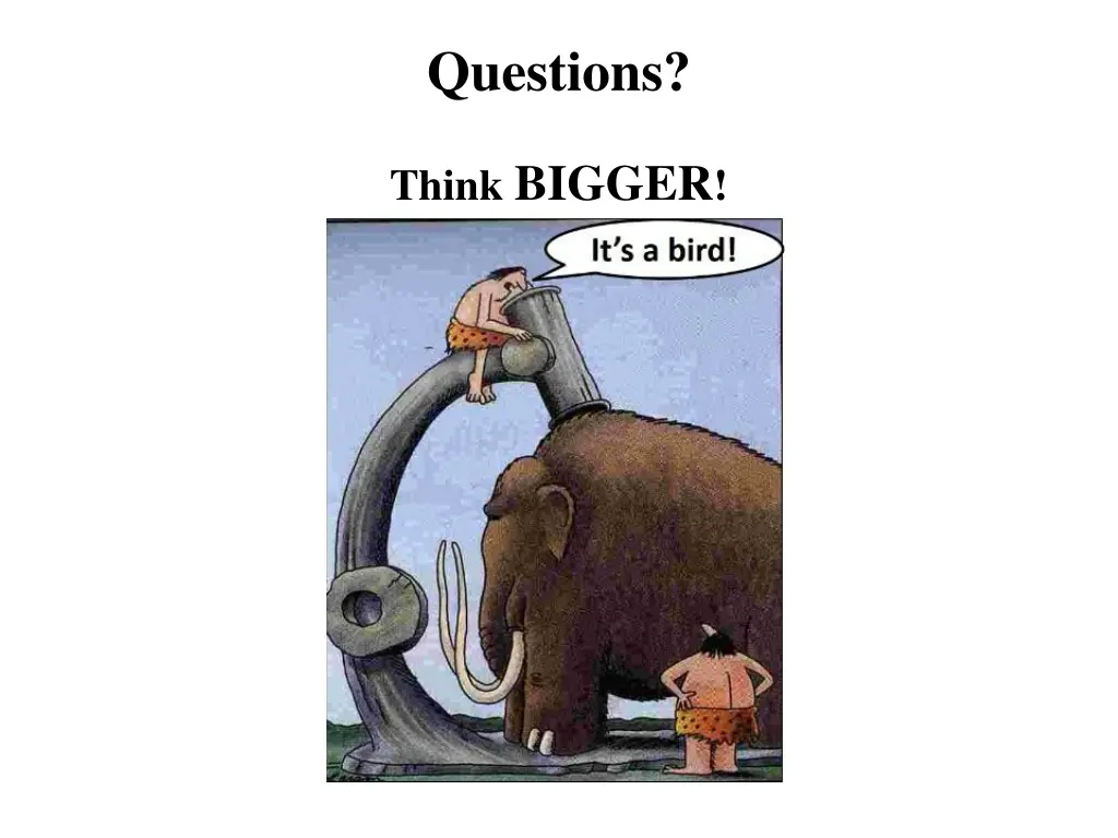 questions