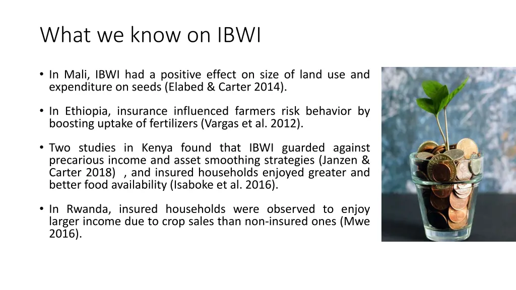 what we know on ibwi