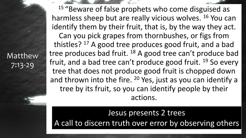 15 beware of false prophets who come disguised 2