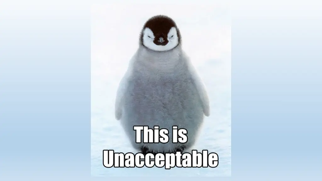 slide5