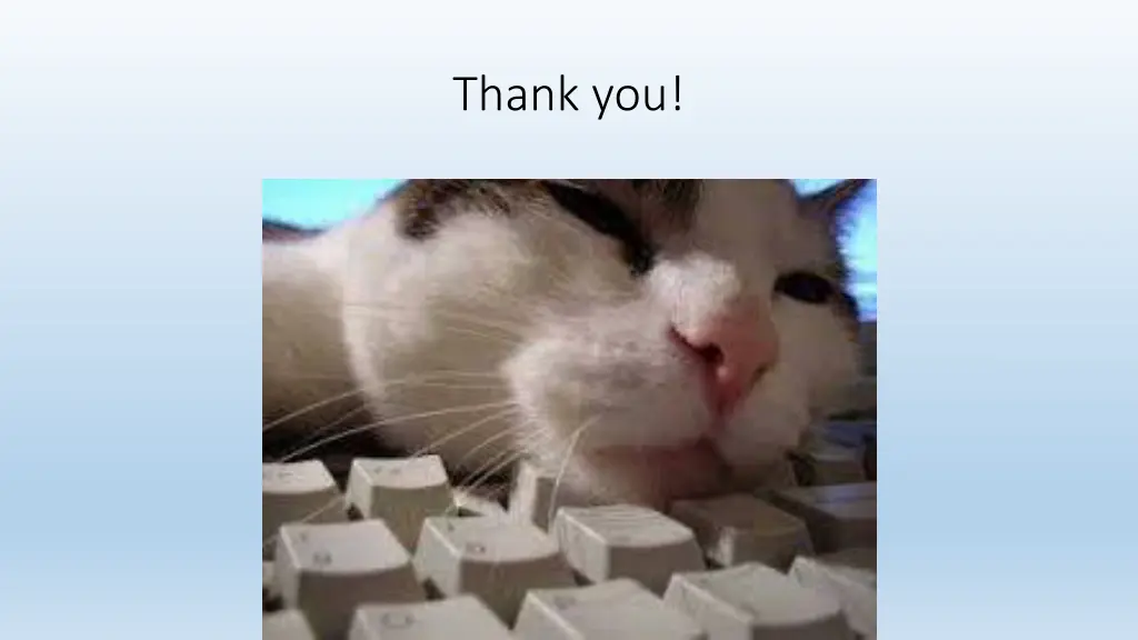 thank you