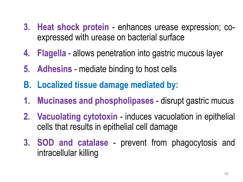 3 heat shock protein enhances urease expression