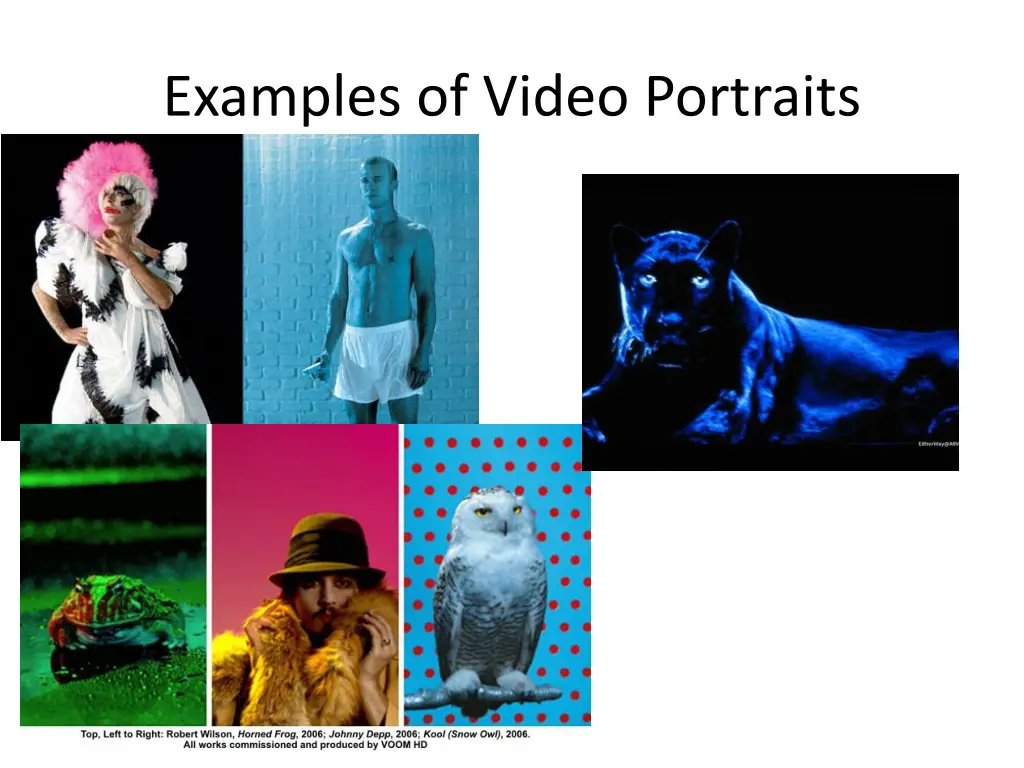 examples of video portraits