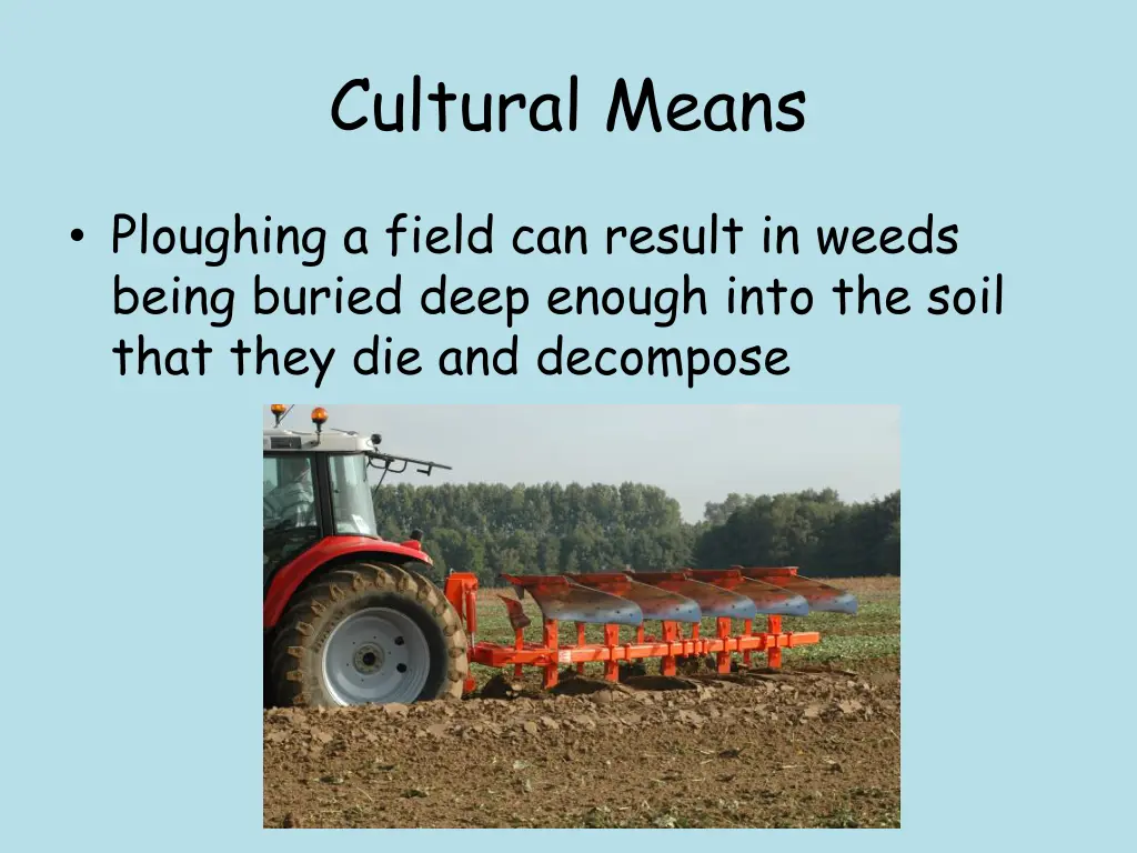cultural means