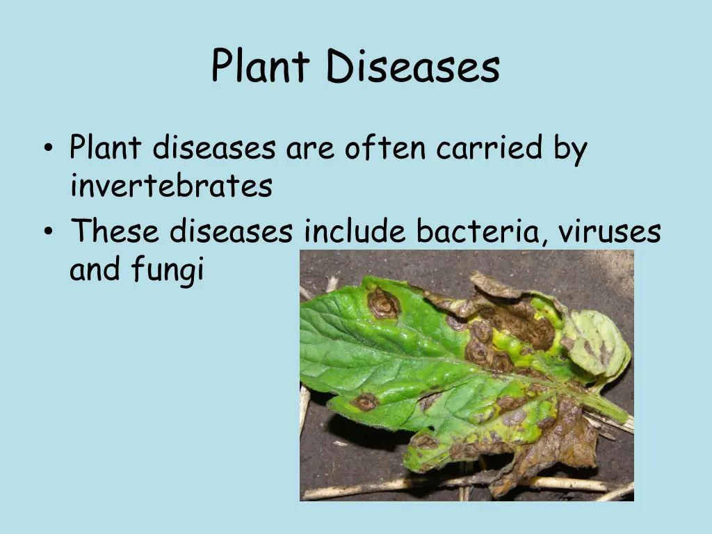 plant diseases