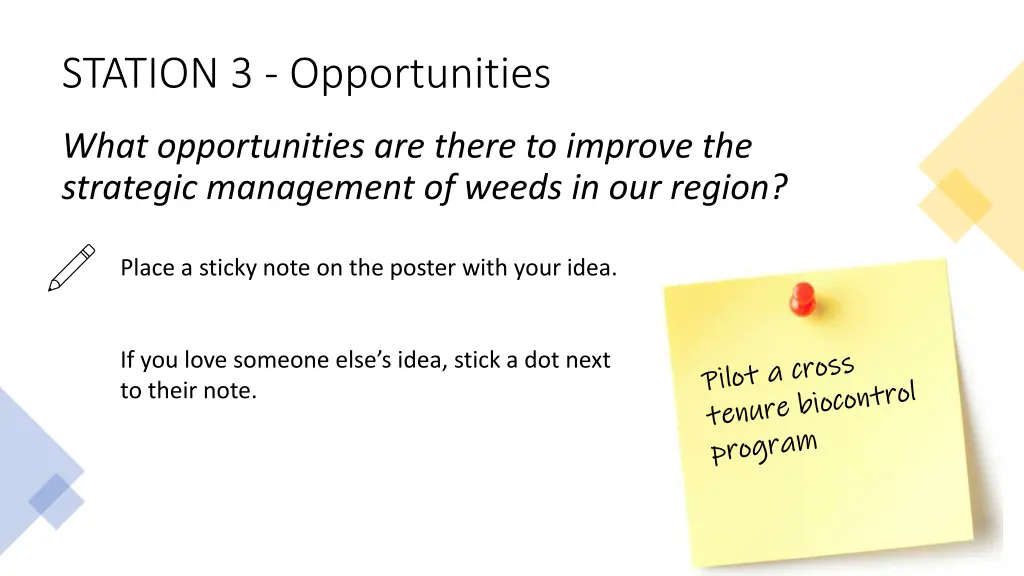 station 3 opportunities