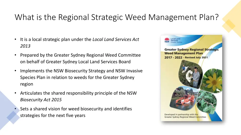 what is the regional strategic weed management
