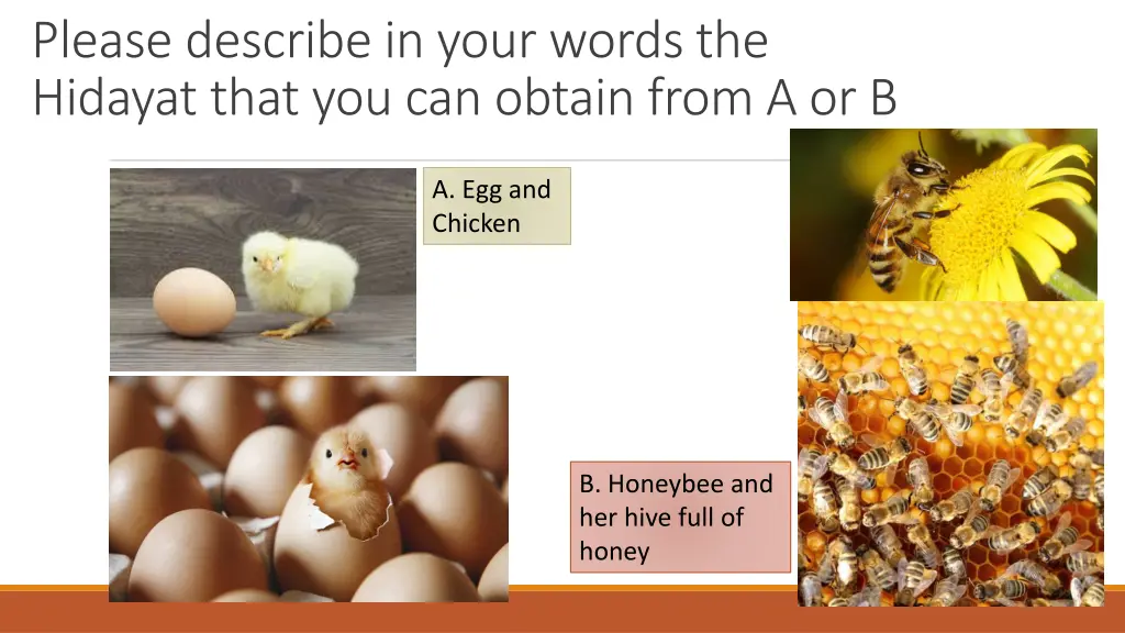 please describe in your words the hidayat that