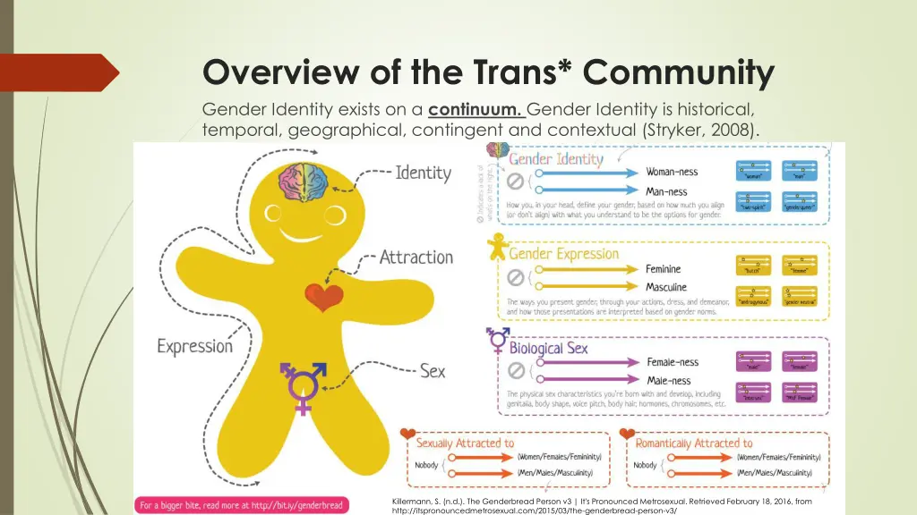 overview of the trans community gender identity