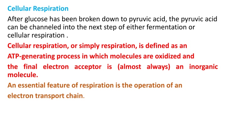 cellular respiration after glucose has been