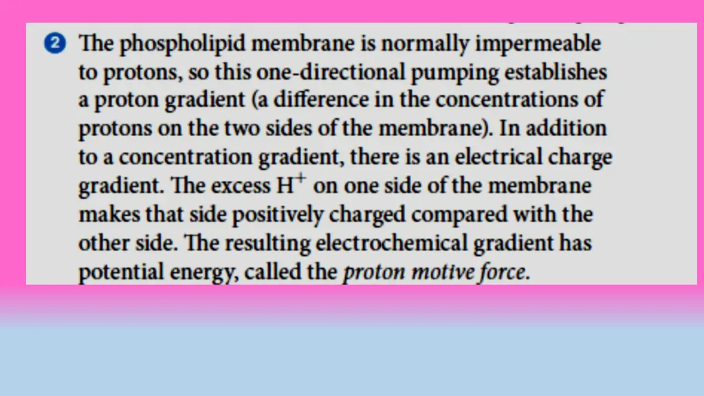 slide22