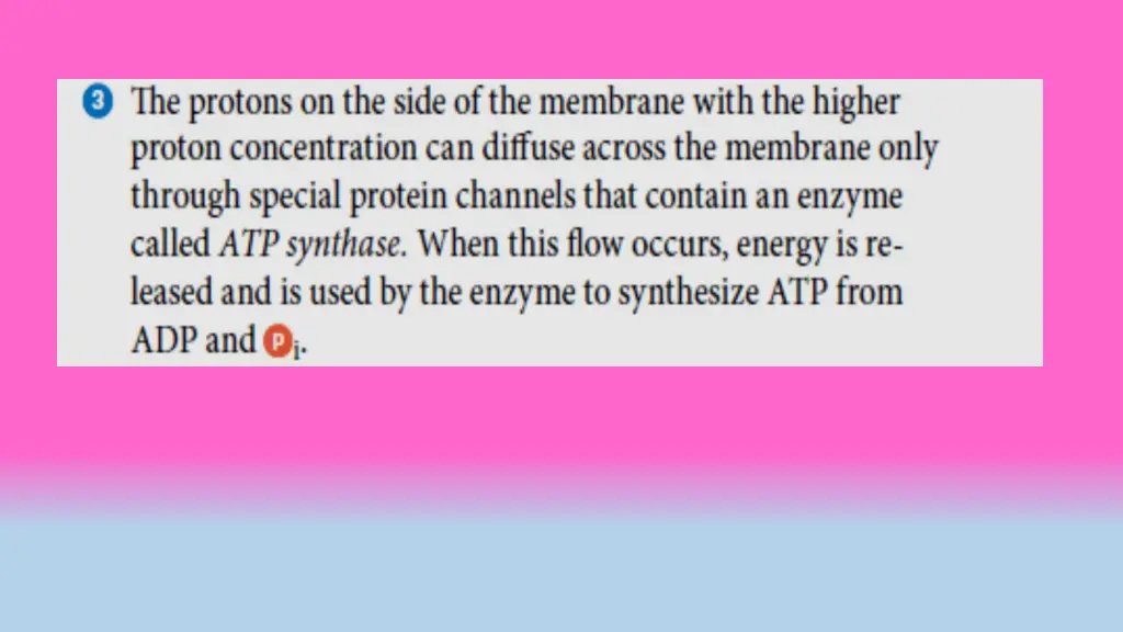 slide23