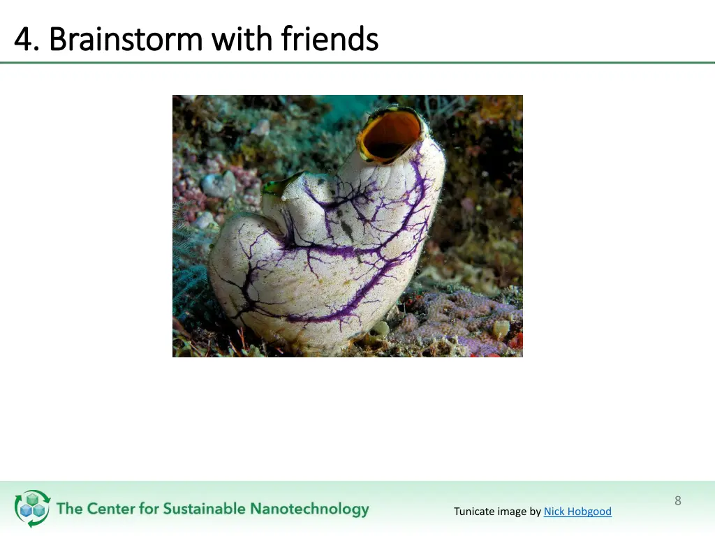 4 brainstorm with friends 4 brainstorm with