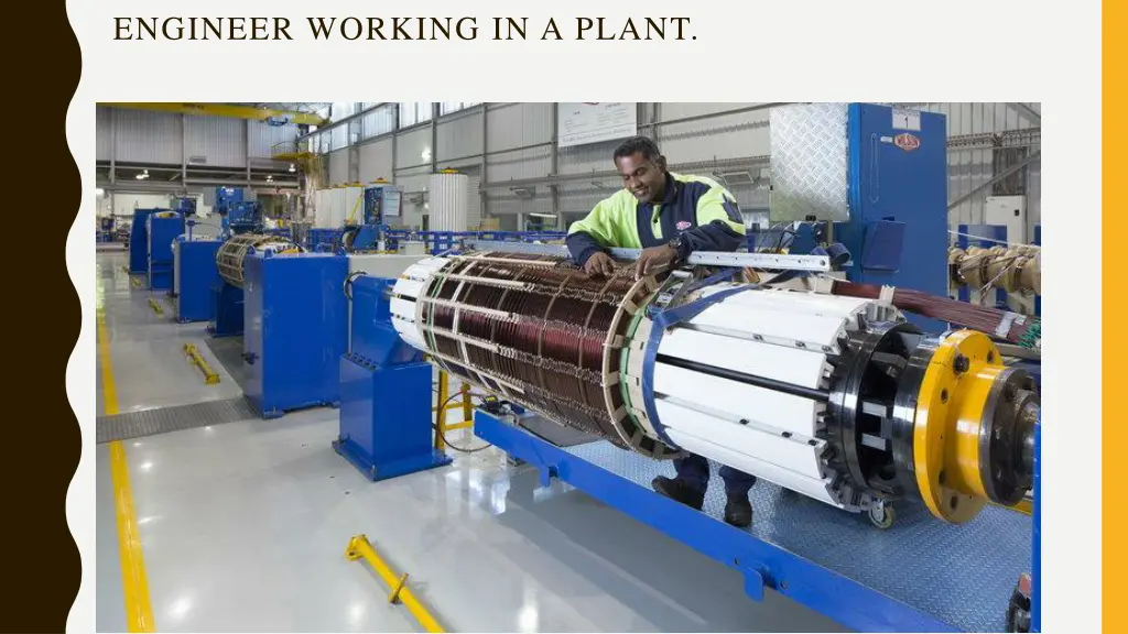 engineer working in a plant