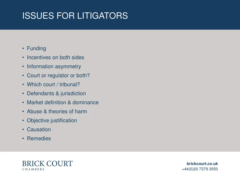 issues for litigators