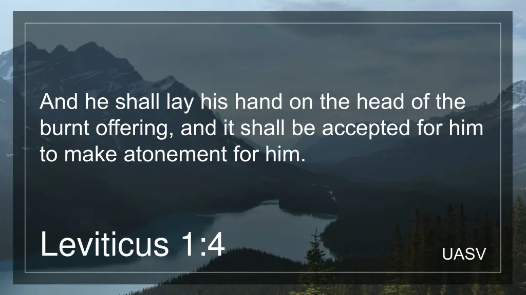 and he shall lay his hand on the head