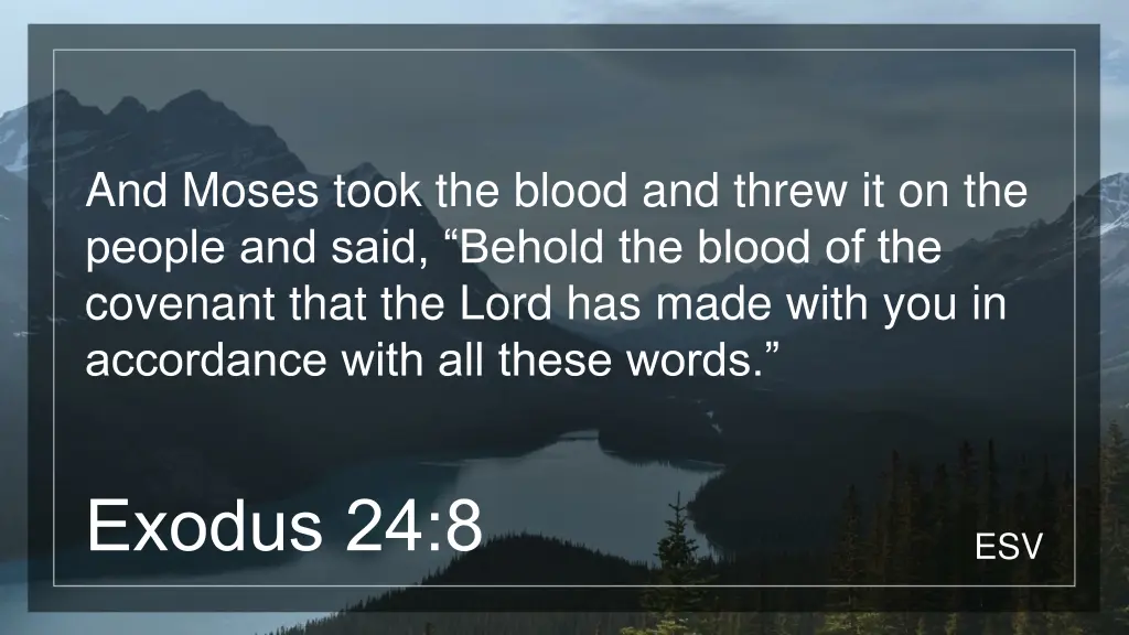 and moses took the blood and threw