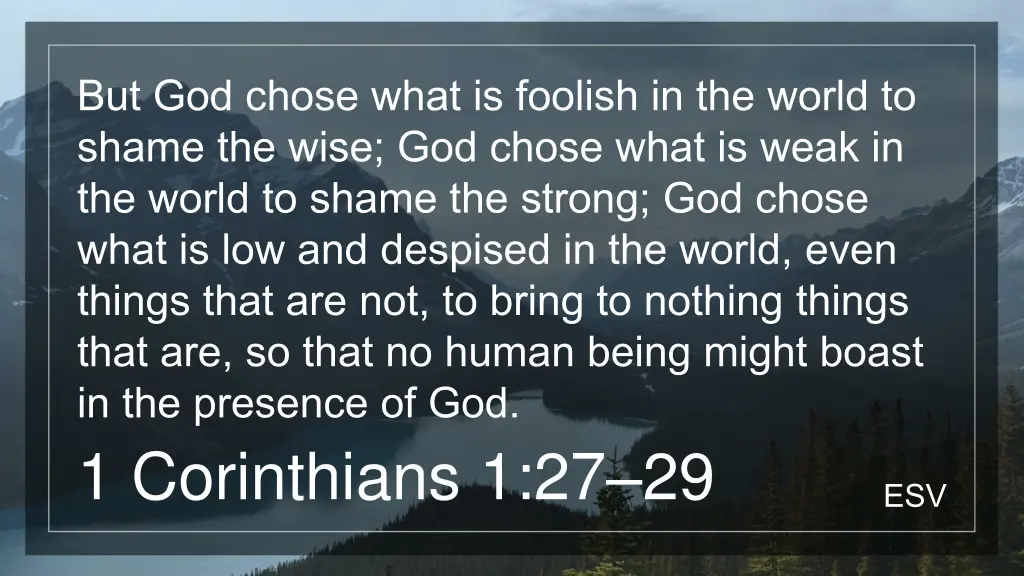 but god chose what is foolish in the world