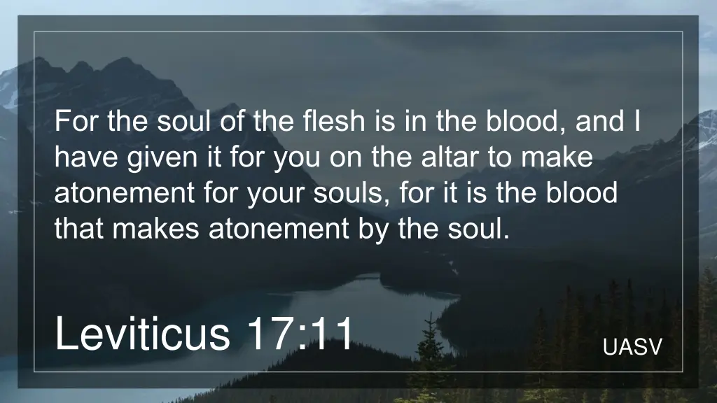 for the soul of the flesh is in the blood