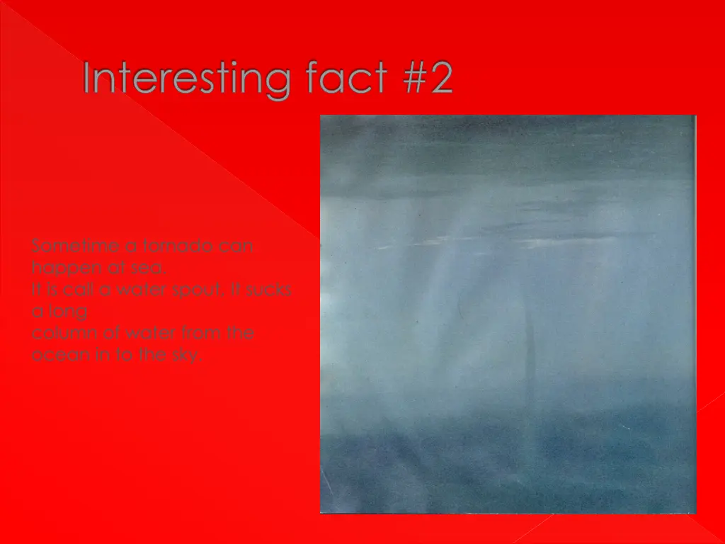 interesting fact 2
