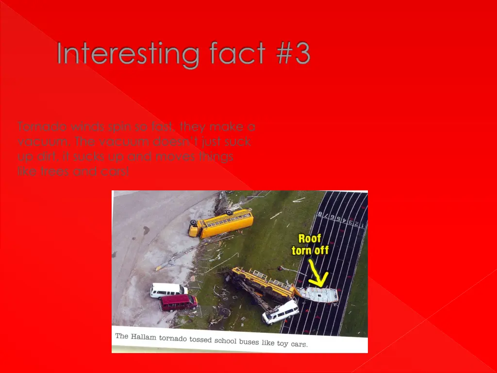 interesting fact 3