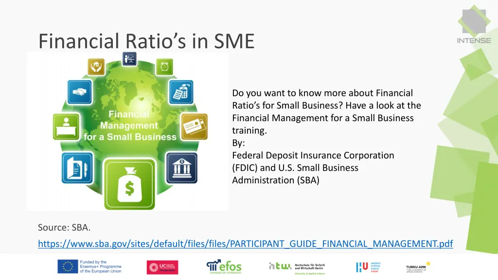 financial ratio s in sme
