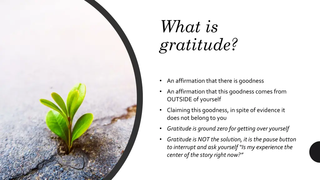 what is gratitude