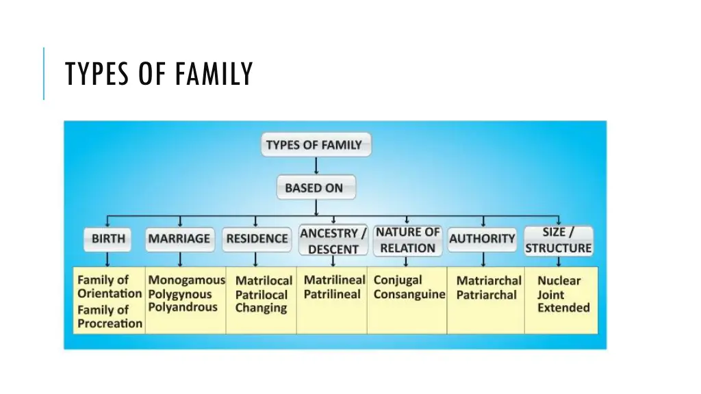 types of family