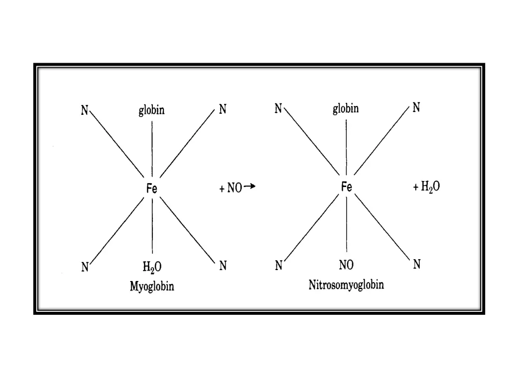 slide13