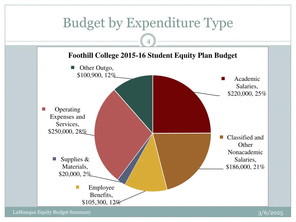 budget by expenditure type