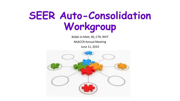 seer auto consolidation workgroup