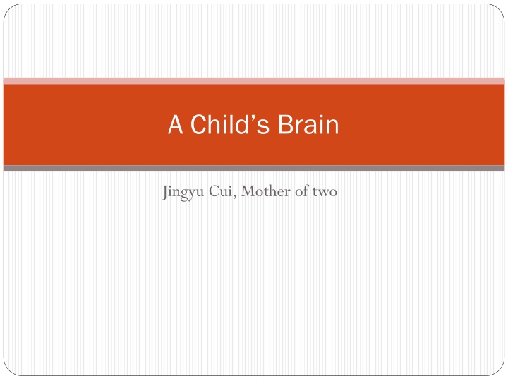 a child s brain