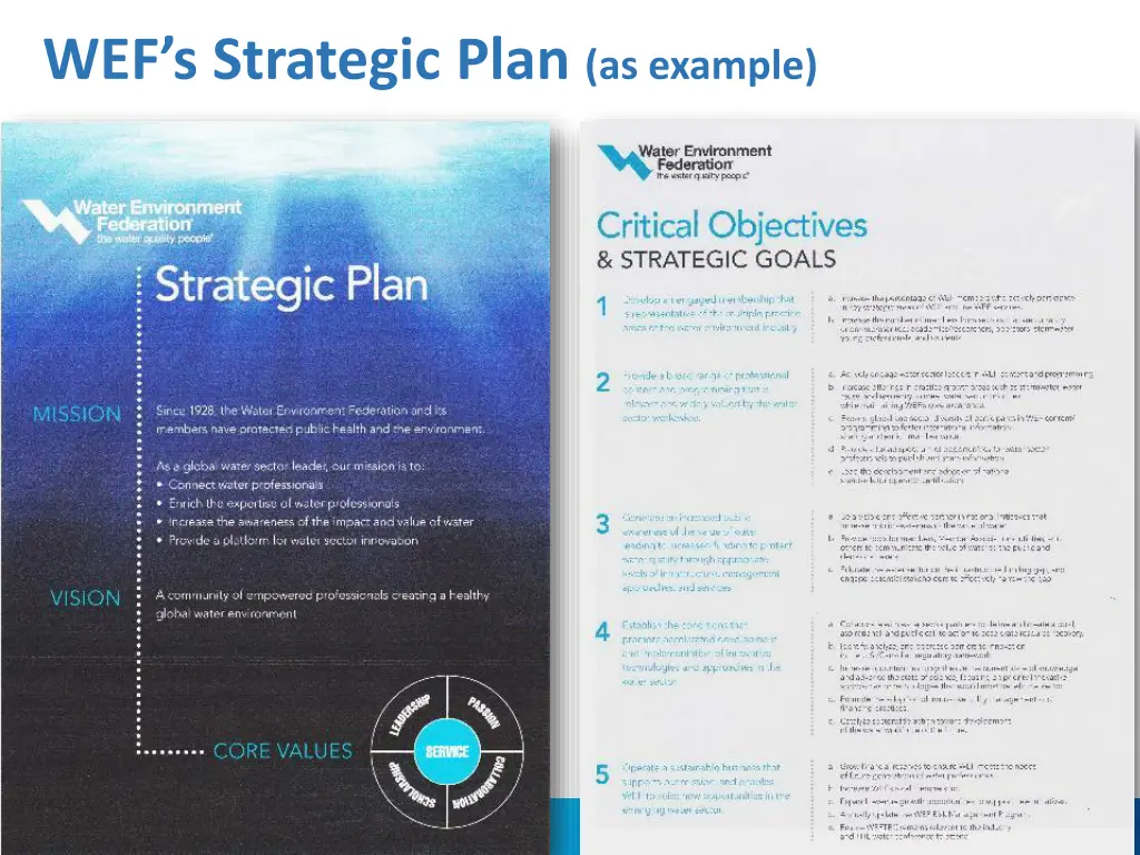 wef s strategic plan as example