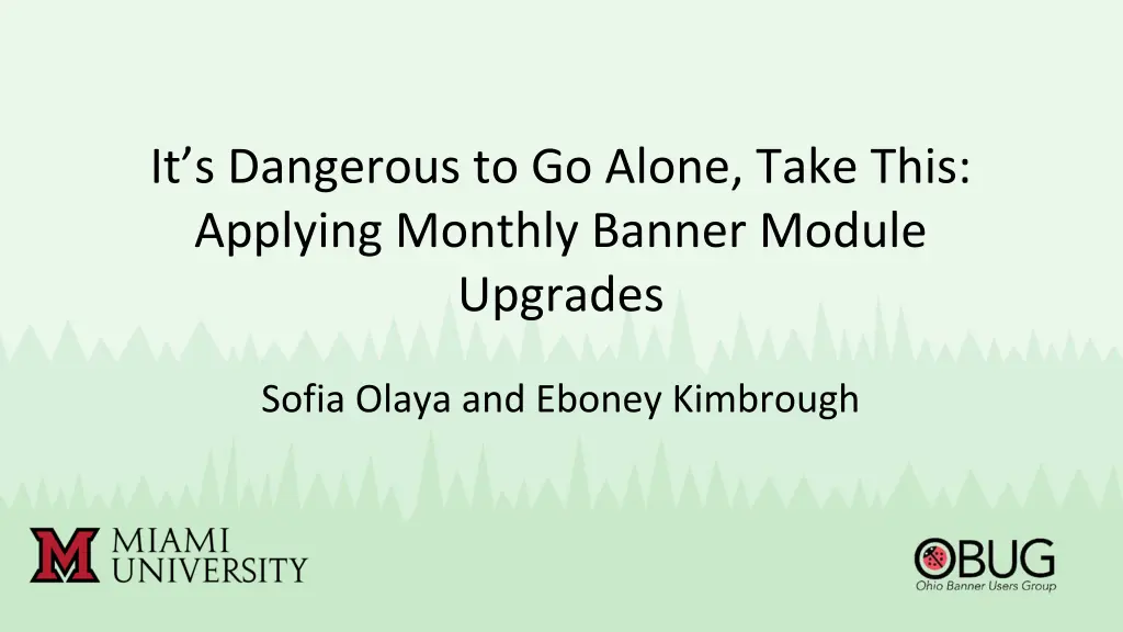 it s dangerous to go alone take this applying