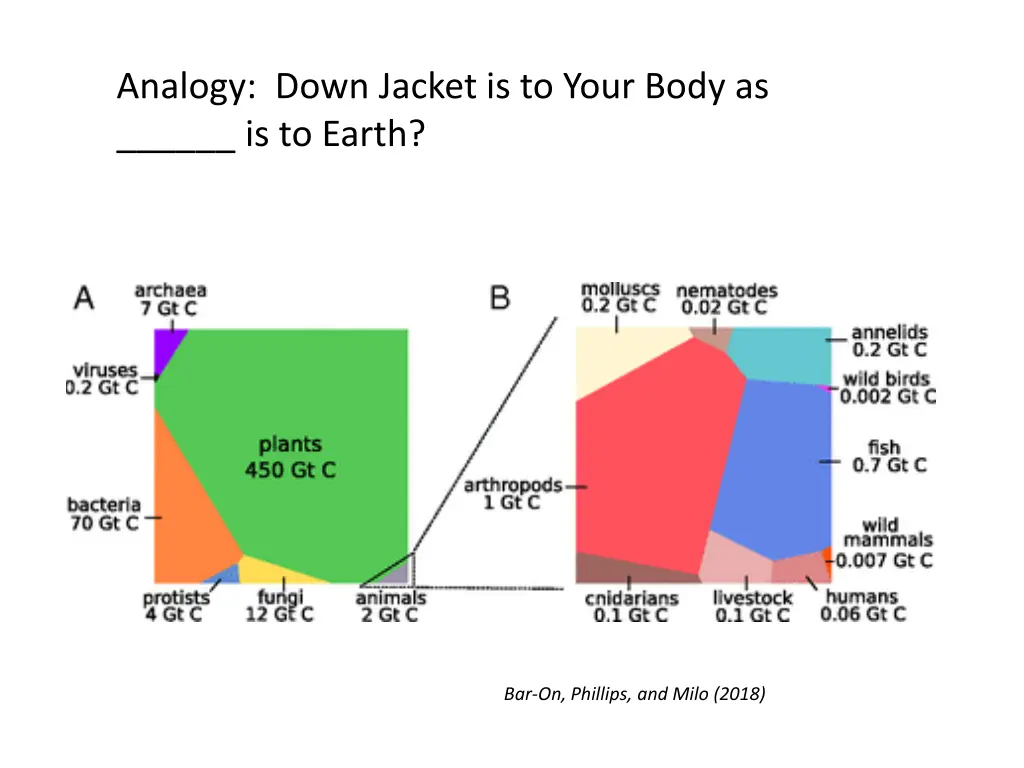 analogy down jacket is to your body as is to earth