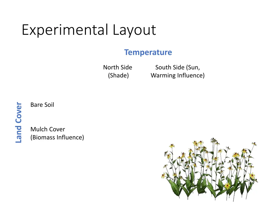 experimental layout