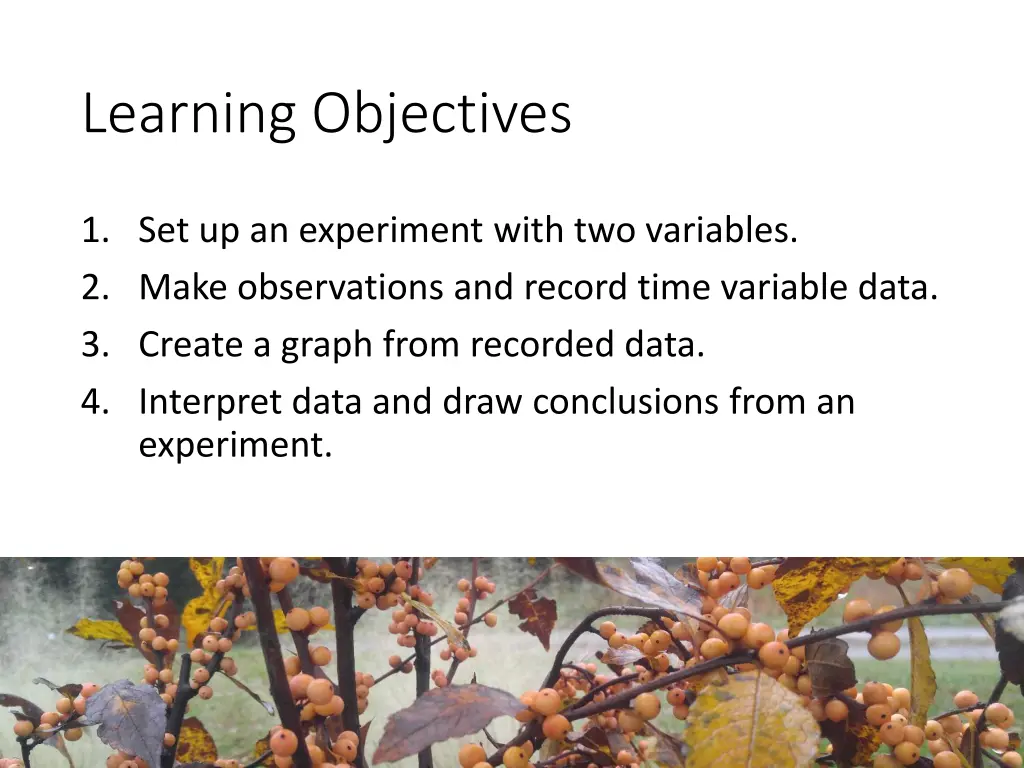 learning objectives
